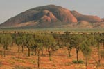 The Olgas, Northern Territory Australia - picture