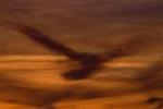 cloud photo