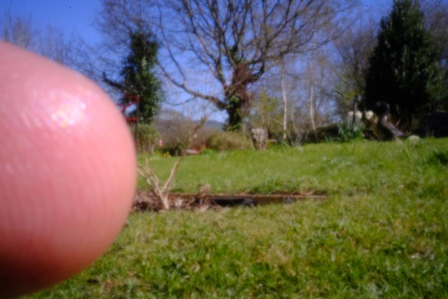 pinhole photo 6